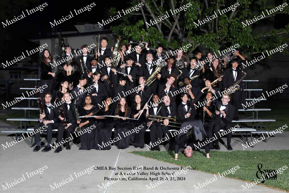 Musical Images